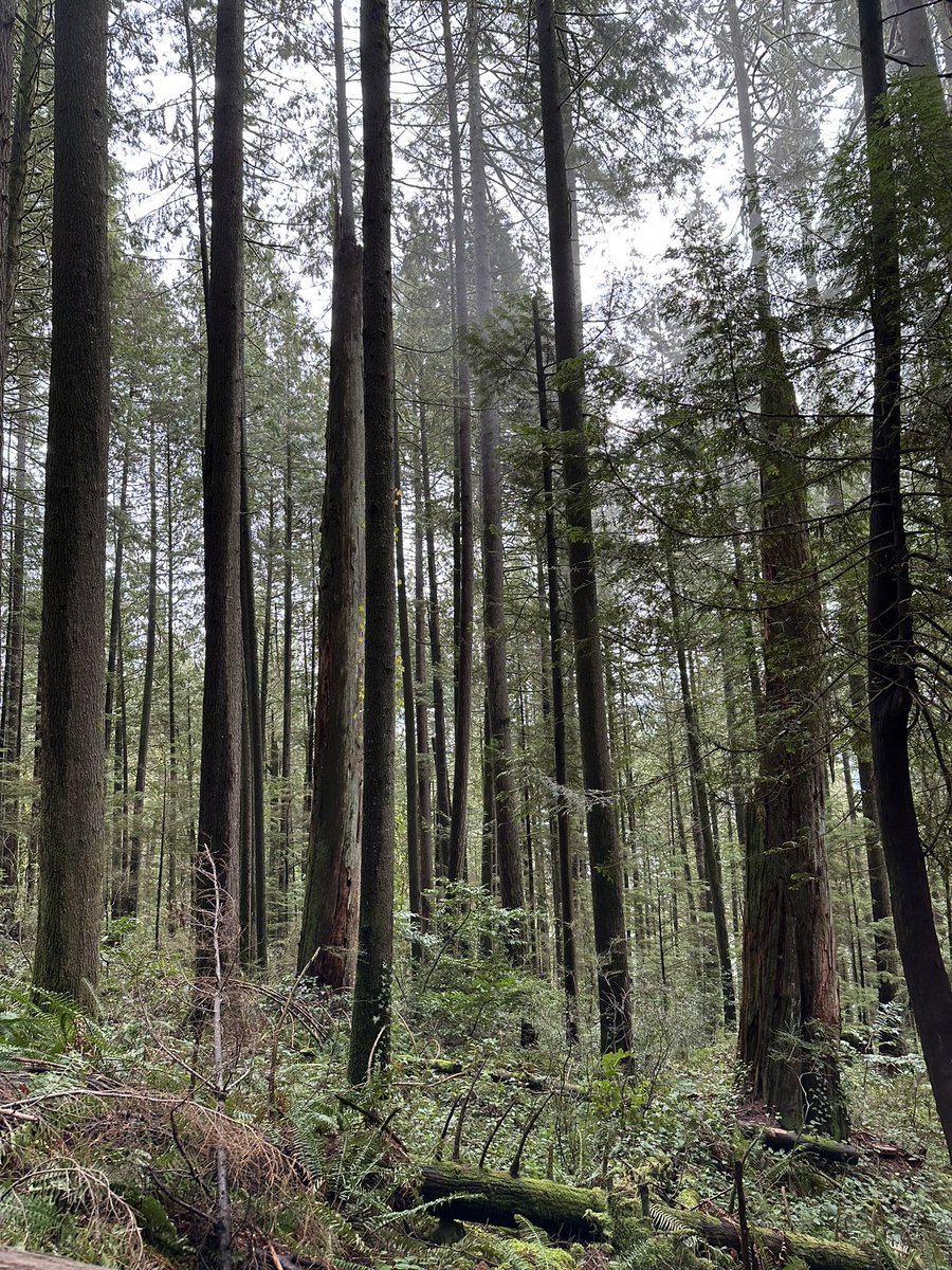 Anna Blefare tweet media