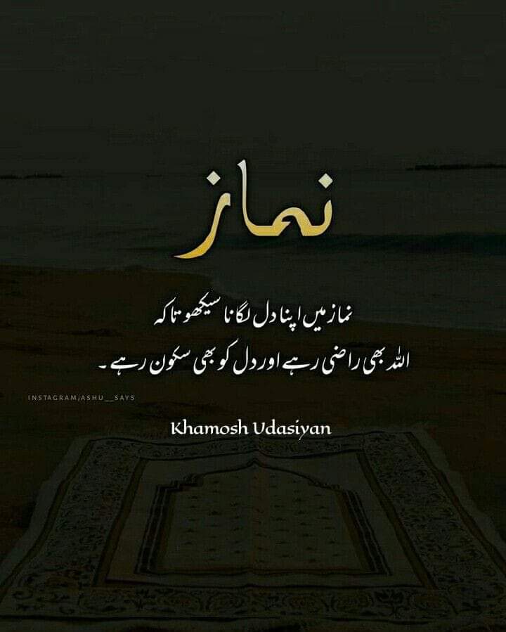 Aslam O Alaikum X family 🥀🌹

Good morning 🌄

Have a good day 😊