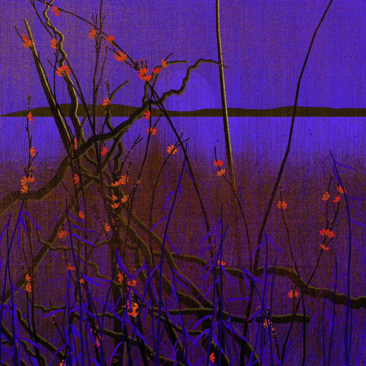 Brad Connell tweet media