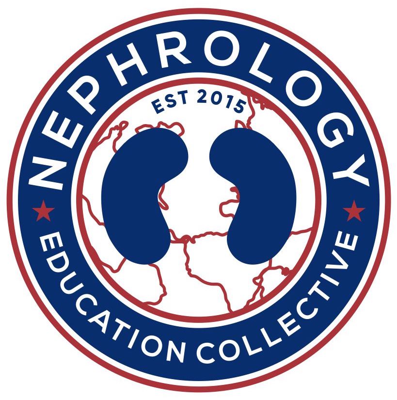 welcome new interns. Year 10 of @NSMCInternship starts today 

is now Nephrology Education Collective #NephEdC