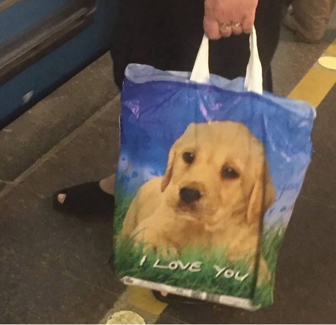 PerritoMamador's tweet photo. Tote bag oficial de Perrito Cinéfilo https://t.co/fXUie1g0Kc