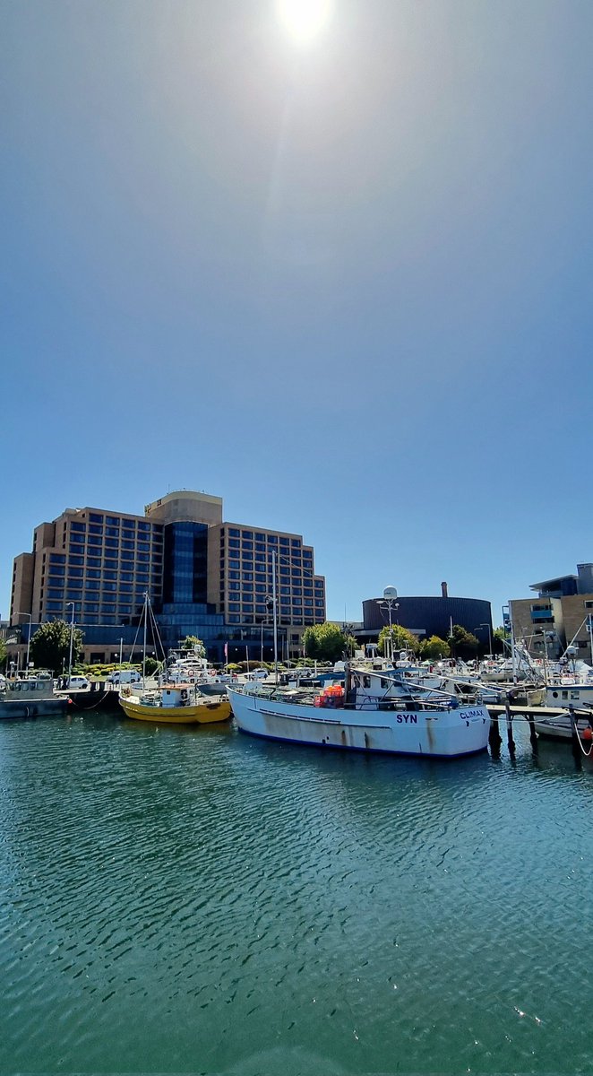 CD1MR1's tweet image. Hobart, putting on the sunshine to welcome our first delegates to arrive over the weekend for #CD1MR12024 @CD1MR1