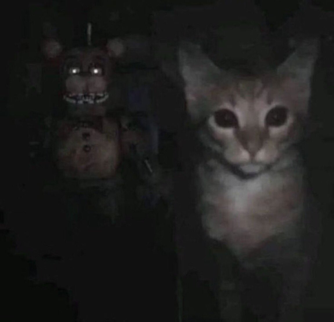 ermm  …   he’s  right  behind  me ,  isn’t  he ??    🤓👆