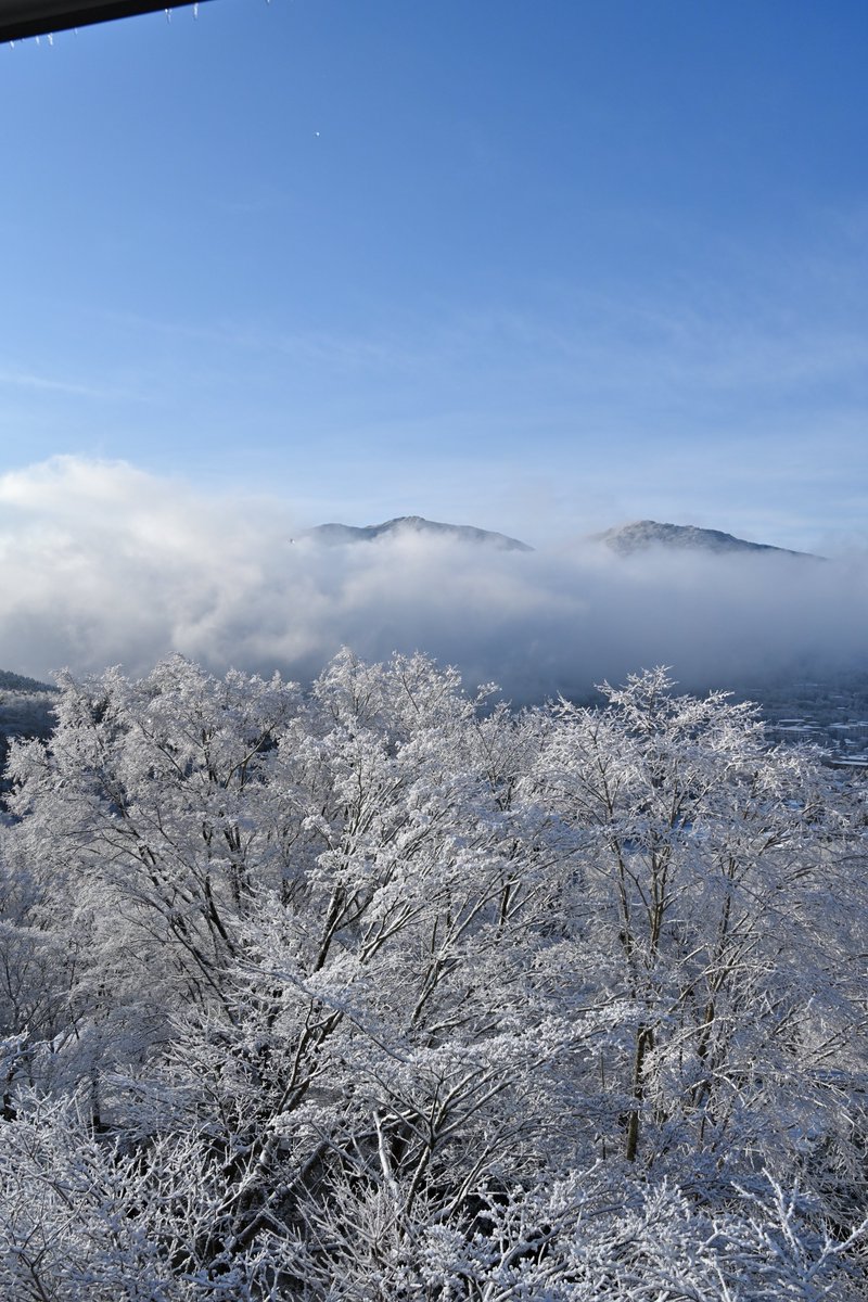mhfLop's tweet photo. 今朝の窓辺からの風景 https://t.co/jZRrop1rrx