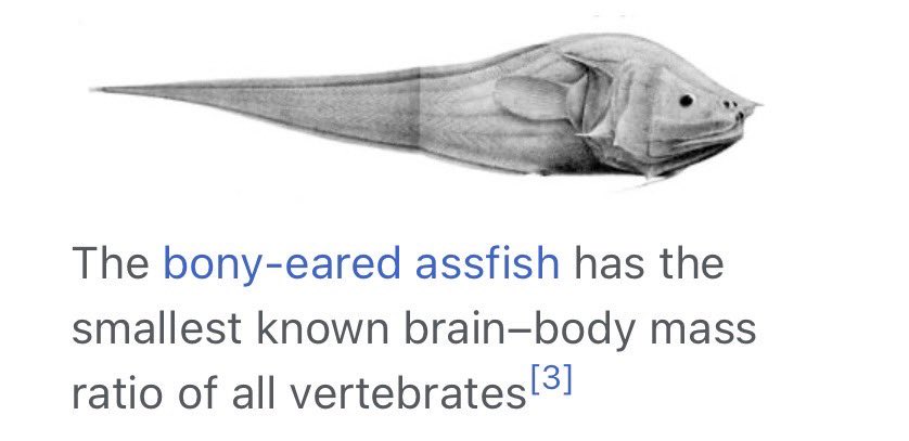 thescottbarber's tweet photo. Someone give this fish a break https://t.co/fDIAN2JrhI
