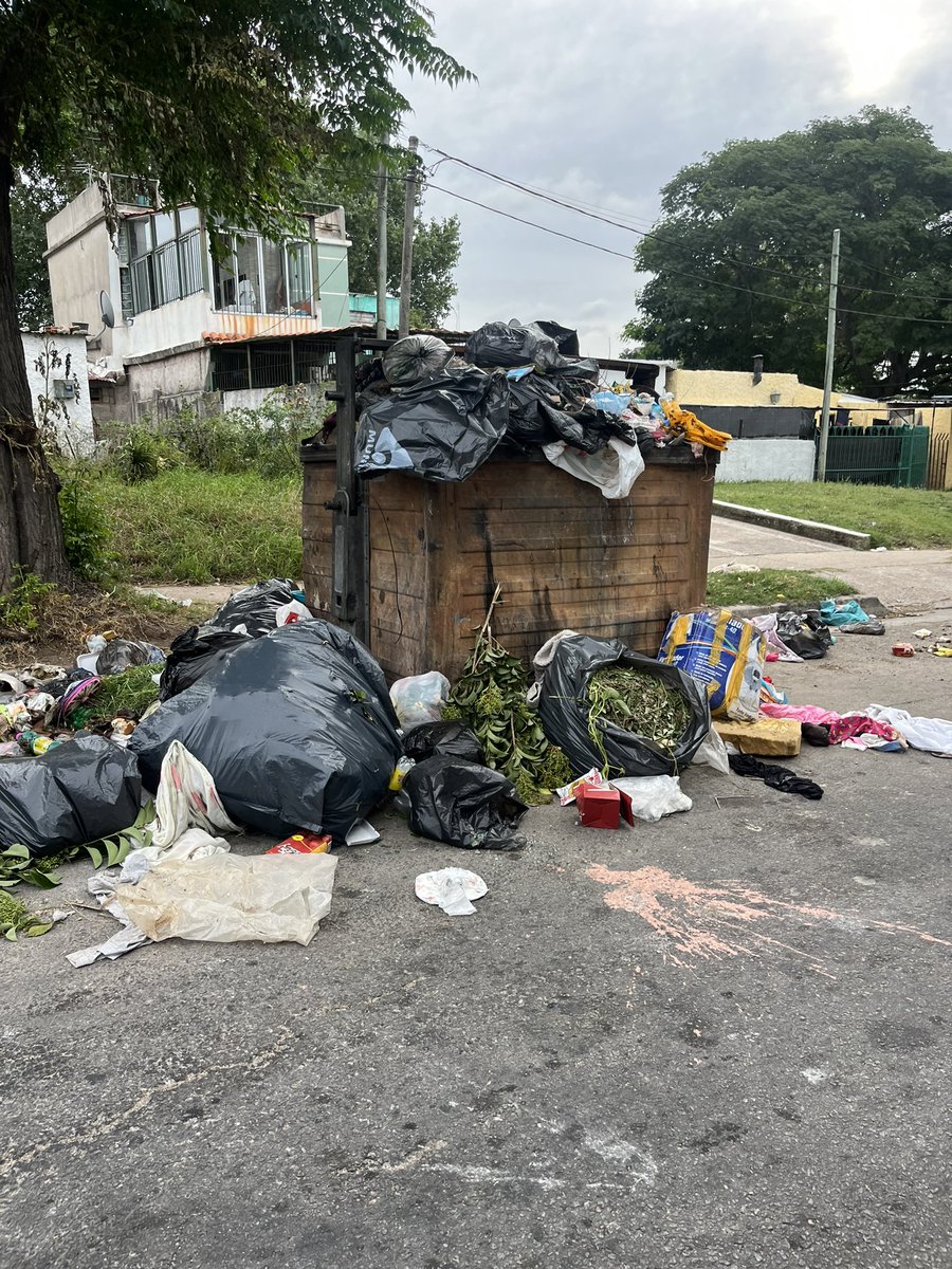 PabloCotelo2's tweet photo. Estoy realmente horrorizado por la falta de limpieza de los contenedores de basura en Montevideo. No es solo una cuestión estética, sino que la acumulación de basura en estos lugares está generando una grave contaminación ambiental. https://t.co/bFVQdpoUpC