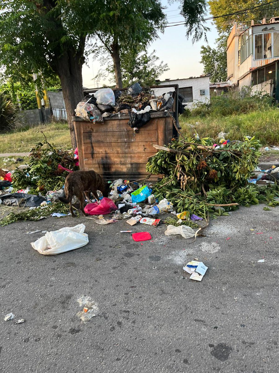 PabloCotelo2's tweet photo. Estoy realmente horrorizado por la falta de limpieza de los contenedores de basura en Montevideo. No es solo una cuestión estética, sino que la acumulación de basura en estos lugares está generando una grave contaminación ambiental. https://t.co/bFVQdpoUpC