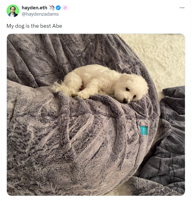 Abe_Inu's tweet photo. Able Inu $ABE - The Uniswap's Dog

https://t.co/jjrnvPJJxk

https://t.co/iPffDxmnGf

https://t.co/yFaaBXLSUw

https://t.co/wp6NXCi7d5

https://t.co/hsJP3o5c0M

Liquidity Burned

https://t.co/oKXCDNrs4K

#AbeInu #ABE #UniswapDog https://t.co/8l1RltuxXE