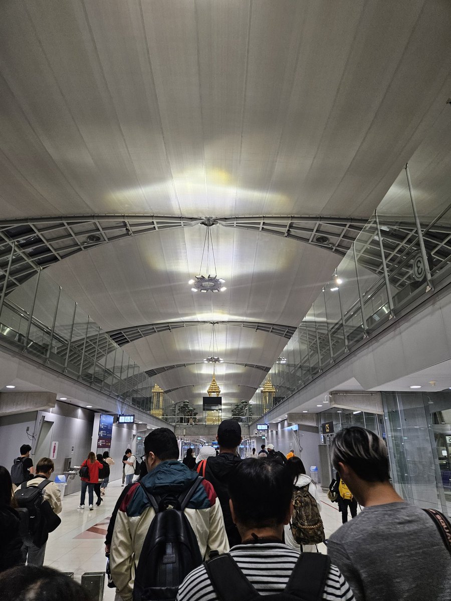 泰耐冇黎 好似都有4年