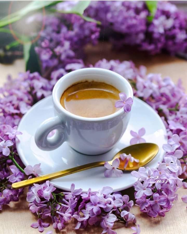 *🌻 السلام علیکم 🌹*

*لوگوں کے حصے کی خوشی پر حسد مت کریں کیونکہ آپ نے انکے حصے کا غم بھی تو نہیں دیکھا ۔۔۔*

*🌻 صبح بخیر ☕🌹
#LUFC 
#23point5 
#PTIofficial