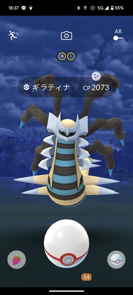 K-クン tweet media