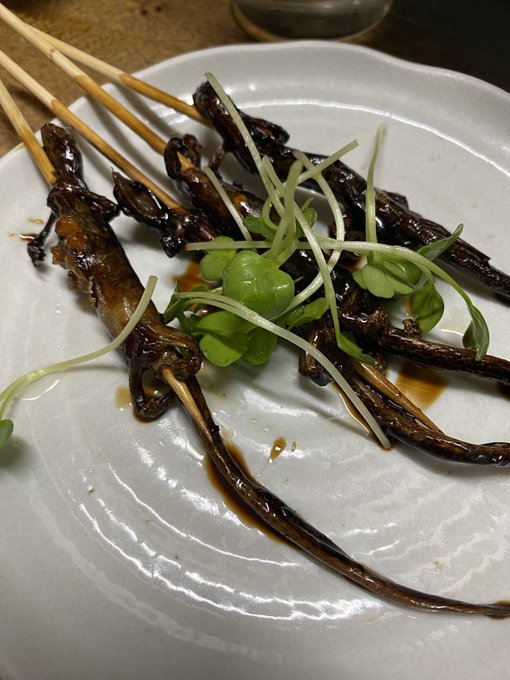 左からカエル、サンショウウオ、何かのキンタマなんだけど、一番キンタマがムニムニで美味しかった😋 https://t.co/YdtfeuowoG