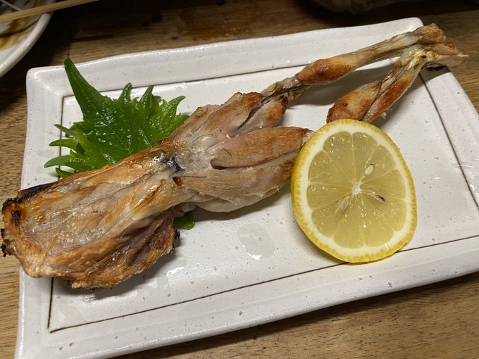 左からカエル、サンショウウオ、何かのキンタマなんだけど、一番キンタマがムニムニで美味しかった😋 https://t.co/YdtfeuowoG