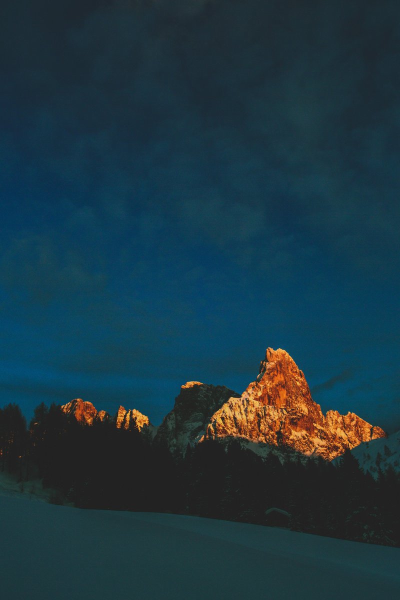 Tropical tweet media