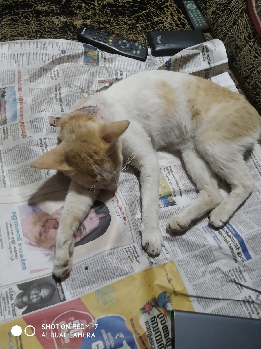 💙ApsaRa💙111💙 tweet media