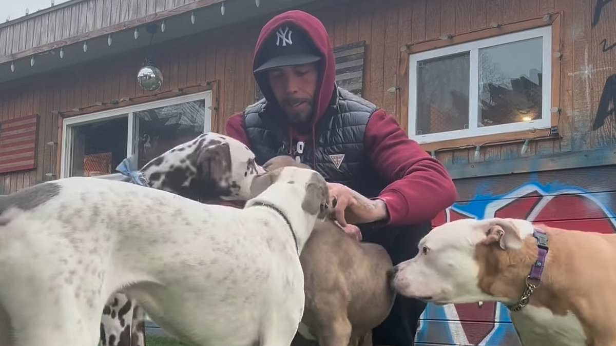 DailyMail's tweet photo. Recovered cocaine addict shares heartwarming story of how taking over shelter for abandoned dogs helped him beat drugs because he was so dedicated to caring for animals with 'broken souls' https://t.co/3bGJJq5m3N https://t.co/Du2Z38G5Tg