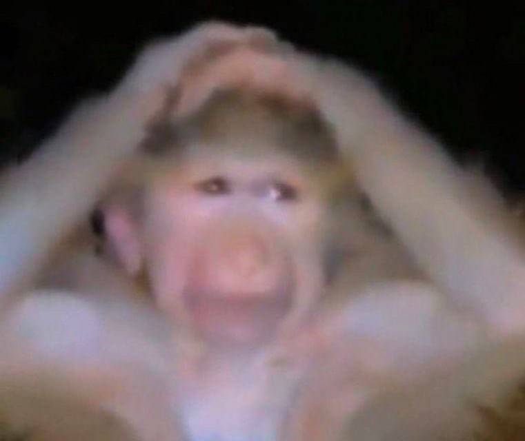 Opened these PDFs and I just know I’m academically fucked