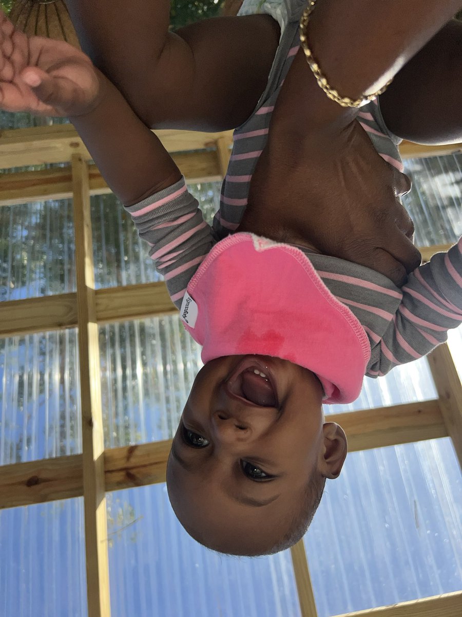 🐍🖤🌻/BaHama.MamBa\🌻🐍🖤 tweet media