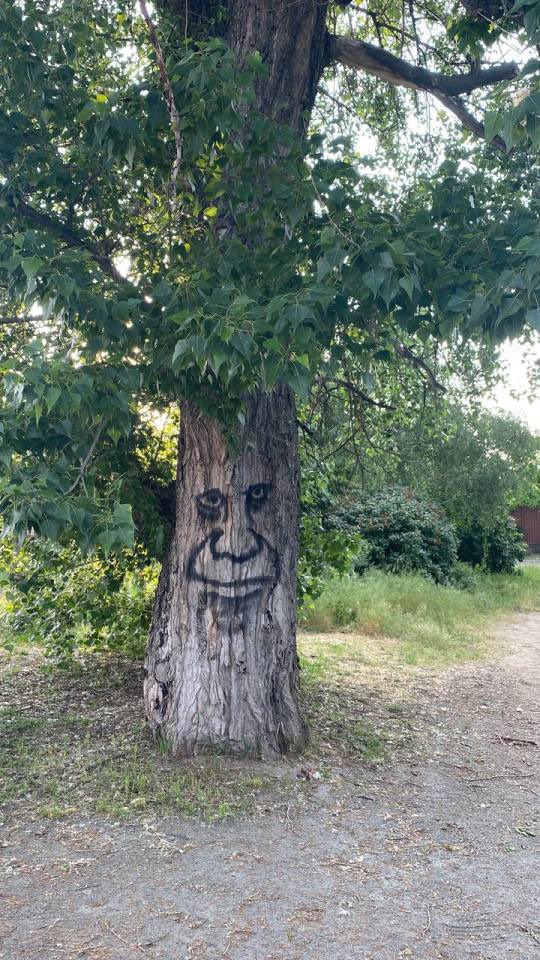 that one homie that’s chill asf but has a deep indescribable sadness about him