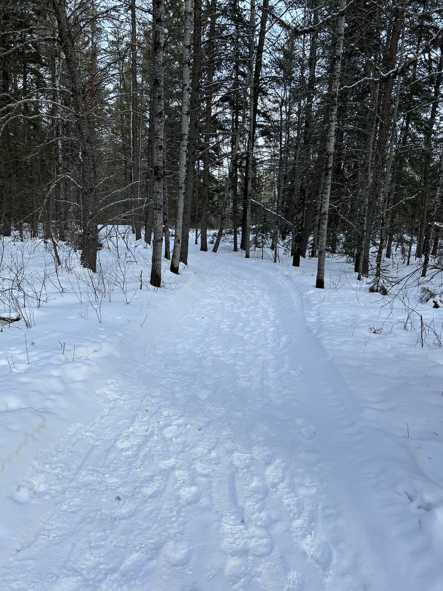 Nothing clears the mind like a walk in the forest. #RMNP.