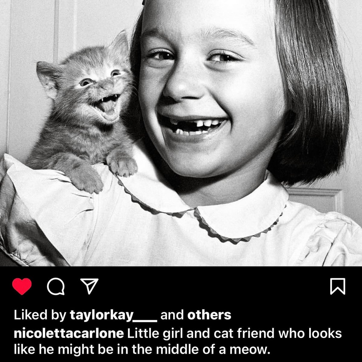 I’ve seen this picture of Paula and her kitten a few times so I had to draw them. #waltergeorgechandoa 

#cwklein #cwkleinart