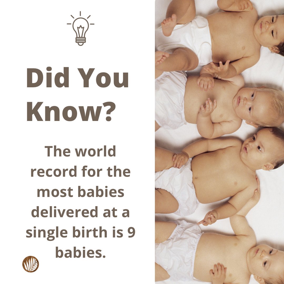 Happy Fun Fact Friday! 🎉 This week we’re looking at Guinness World Records, and it’s been reported that Halima Cisse of Mali holds the world record for “Most children delivered at a single birth to survive” with her nonuplets delivered in Casablanca, Morocco on May 6th, 2021.