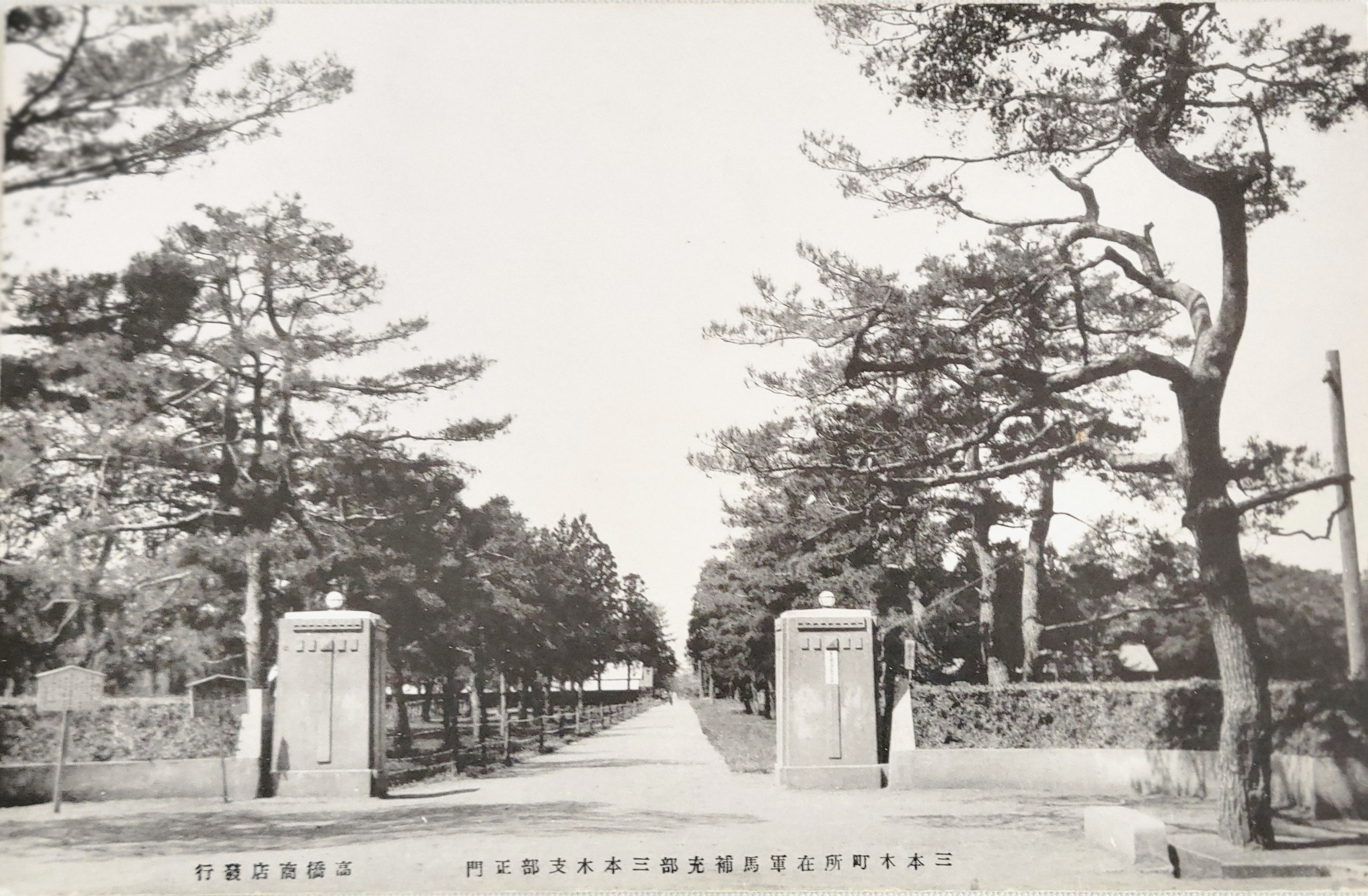 旧制中学 長野上田中学校 記念絵葉書 1916 スクラッチャ