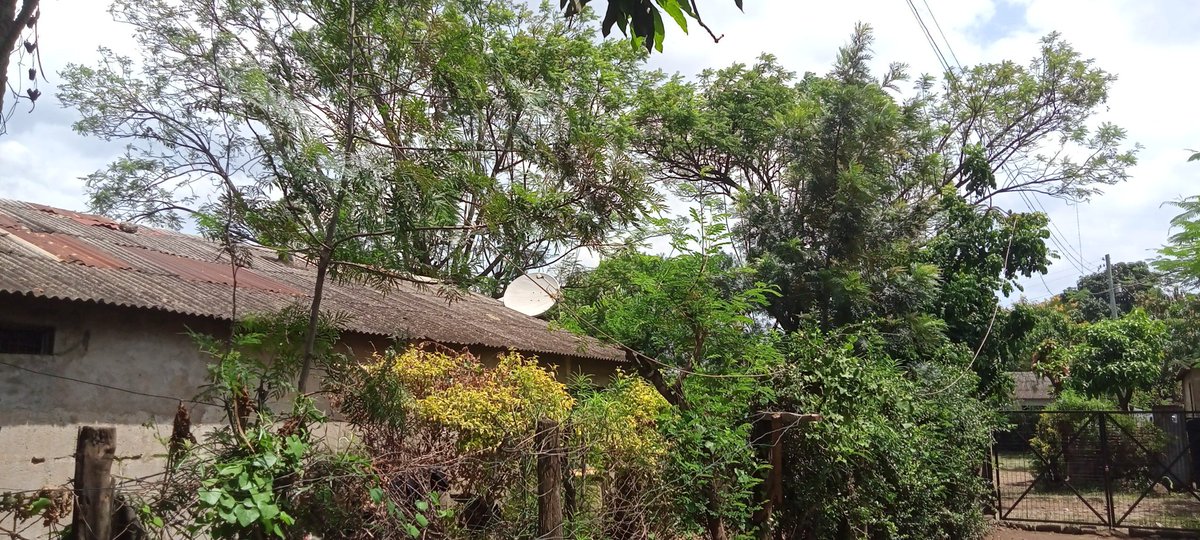 WereletK's tweet photo. @KenyaPower_Care One of your live lines has been hanging in my compound since Thursday this week. I risk even touching the gate..Do something. Children can't even play outside. Mosque estate -kisumu R3-7. Please don't come at night like yesterday at 11:00pm and did nothing. https://t.co/6el1yore0r