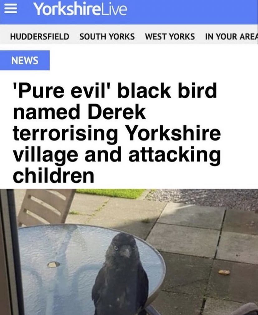 NoContextBrits's tweet image. 