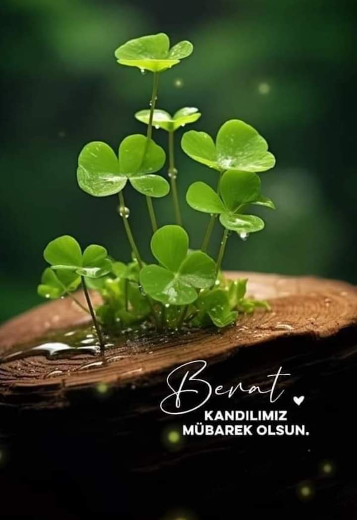 01_Esmaaaa's tweet photo. #Allah'ım bizleri
#REGAİB" ile sana rağbet eden.
#MİRAÇ " ile yücelen.
#BERAT" ile kurtuluşa eren.
#KADRİNİ " idrak ederek.
#RAMAZANIN " sonunda. #CENNETİ" hak eden kullarından Eyle...
#ÂMİN..🤲 https://t.co/5Crw4TGj8e