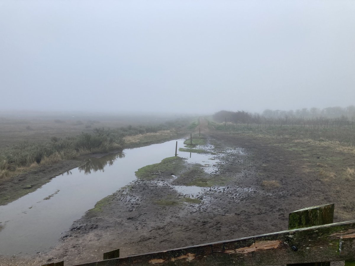 Last long run before the Cambridge half-marathon. A real treat to do it along the Norfolk coast (Blakeney to Wells). Proper cross country running too