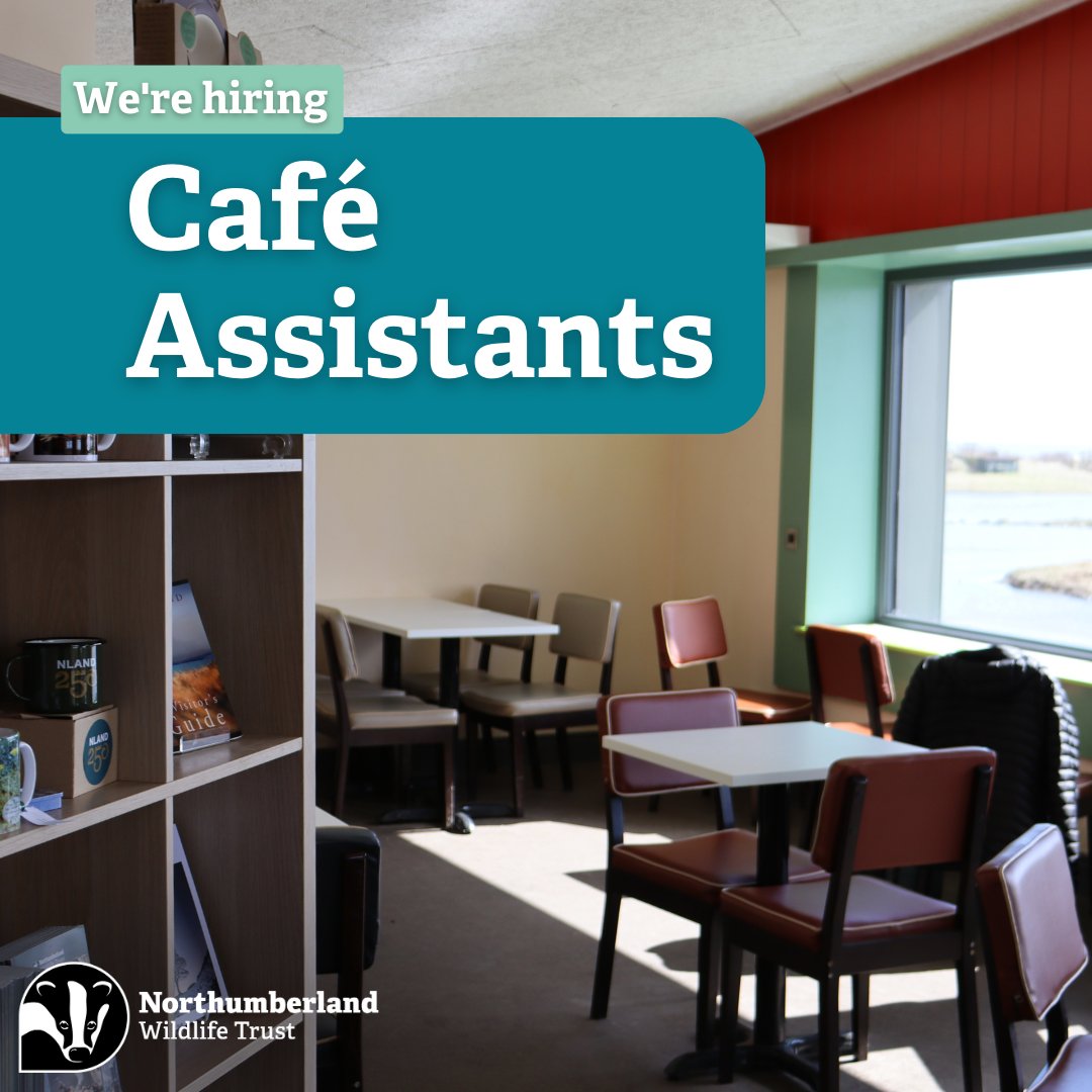 There's still time to apply to our Café Assistant roles! Deadline for applications is Friday 01 March 2024. More info at nwt.org.uk/jobs