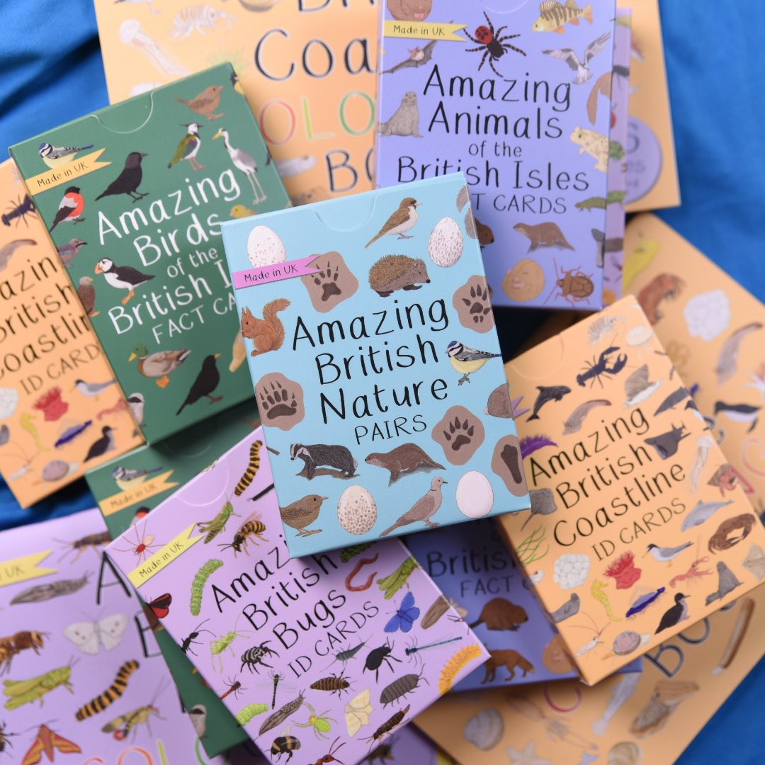 buttonandsquirt's tweet photo. I love how my British wildlife collection has grown and come together 💜 

#thehomeofamazinganimals #learnloveprotect #britishwildlife #learnthroughnature https://t.co/qv8Qh4zsIv