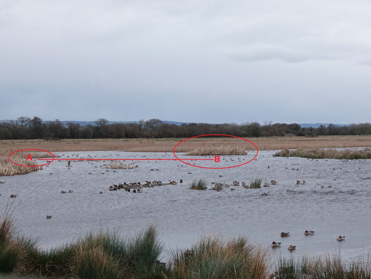 alan ashman tweet media