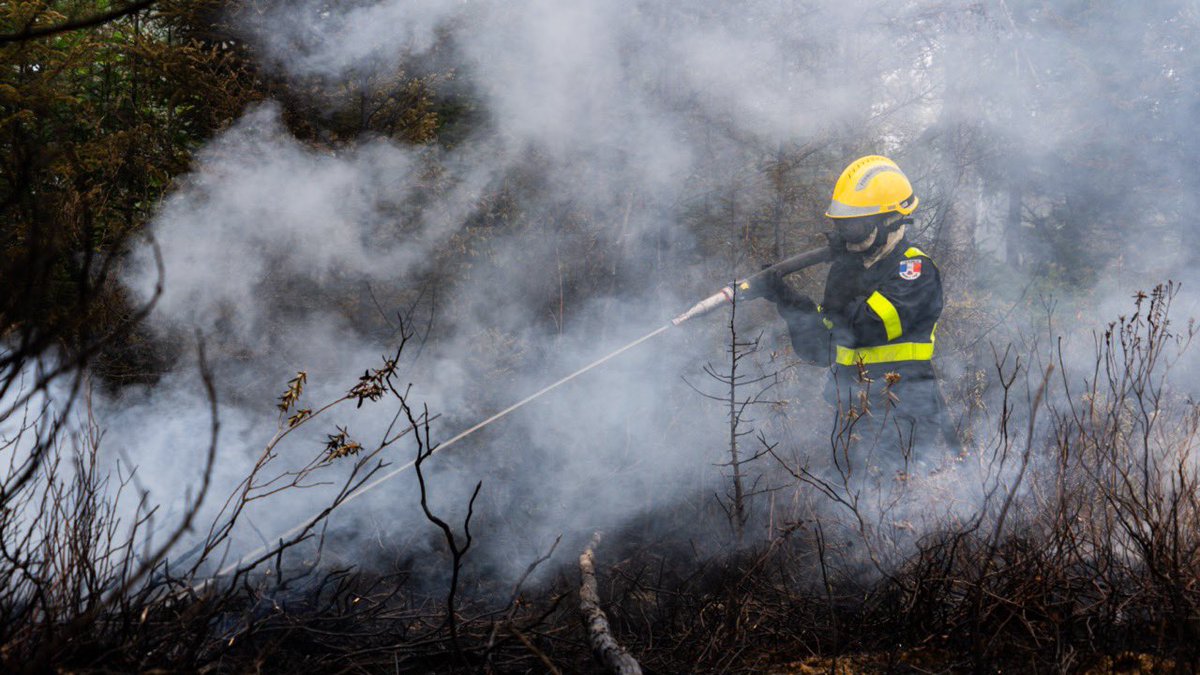 SecCivileFrance's tweet image. #LeChiffreDuJour 🧑‍🚒 1️⃣2️⃣5️⃣, c&apos;est le nombre de missions opérationnelles réalisées en 2023 par les sapeurs-sauveteurs des 3 unités d&apos;instruction et d&apos;intervention de la Sécurité civile.
📸 Retour en images sur une intense mobilisation en France et partout dans le monde