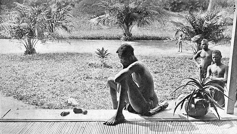 Ecriture2's tweet photo. Un père observe la main et le pied de sa fille de cinq ans, qui ont été coupés en guise de punition pour ne pas avoir respecté le quota de caoutchouc journalier, au Congo Belge. 1904. https://t.co/BrBLCCGetd