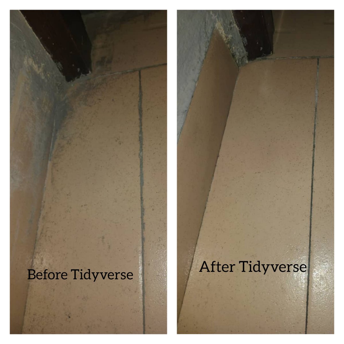 tidyverse84's tweet image. We are Poised Tidyverse Enterprise. 

Your number 1 cleaning agency in Port Harcourt.

Ready to combat any kind of stain on your tiles,doors,windows &amp;amp; many more.

Send us a DM today!!
