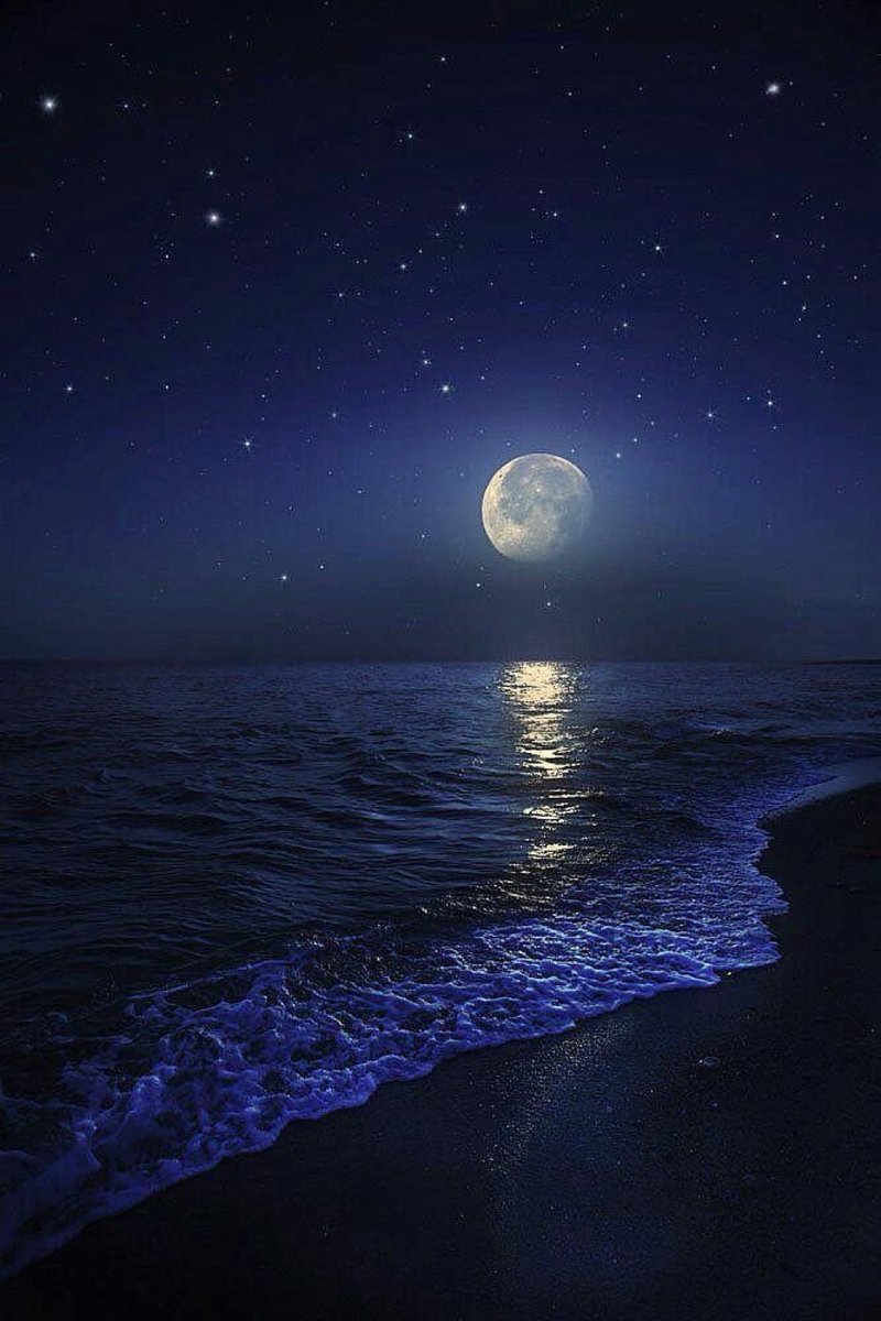 M1ONLOVER's tweet photo. Ocean moon https://t.co/bX7x8Cm86d