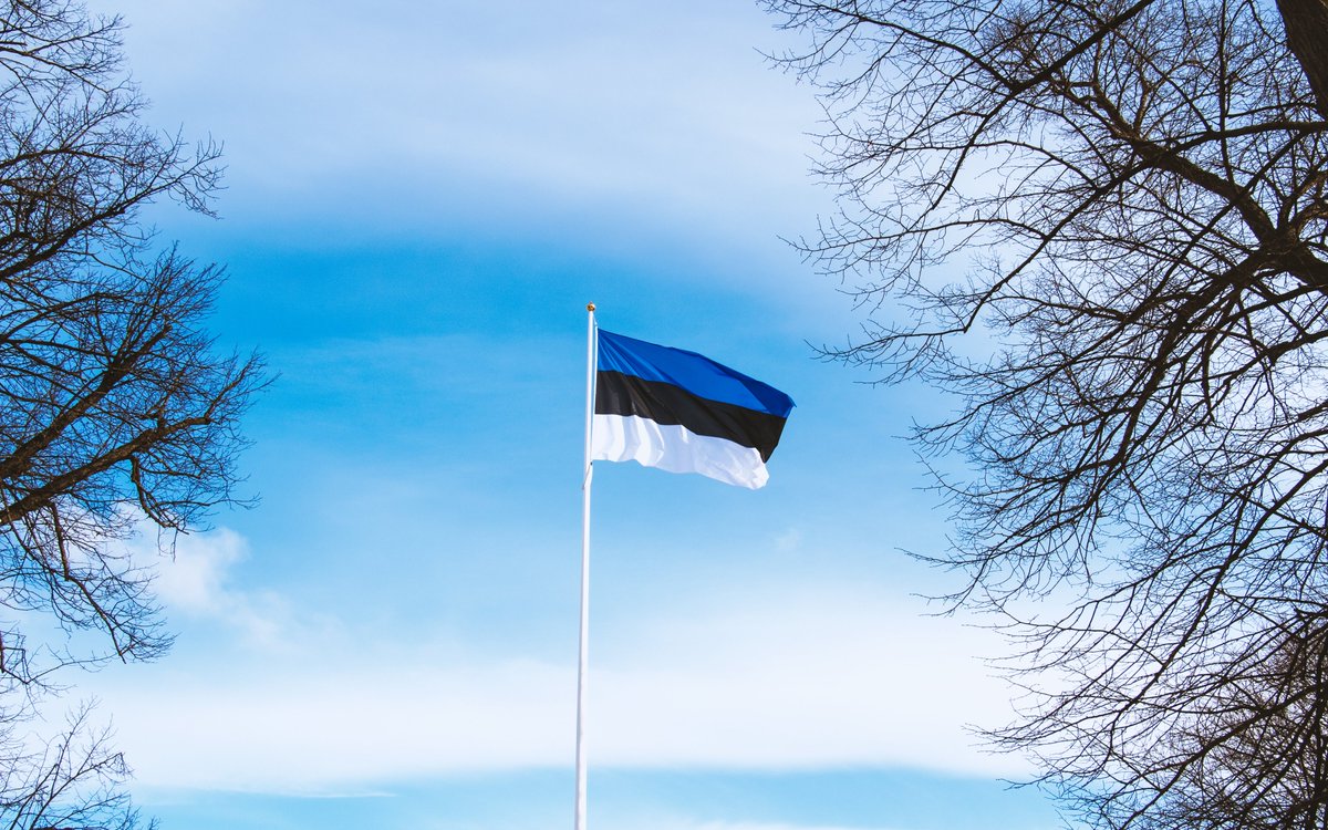 Palju õnne, armas Eesti! 🇪🇪