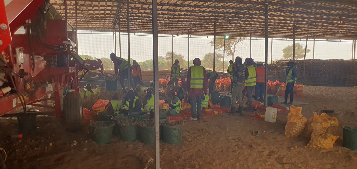 Olaf van Campen tweet media