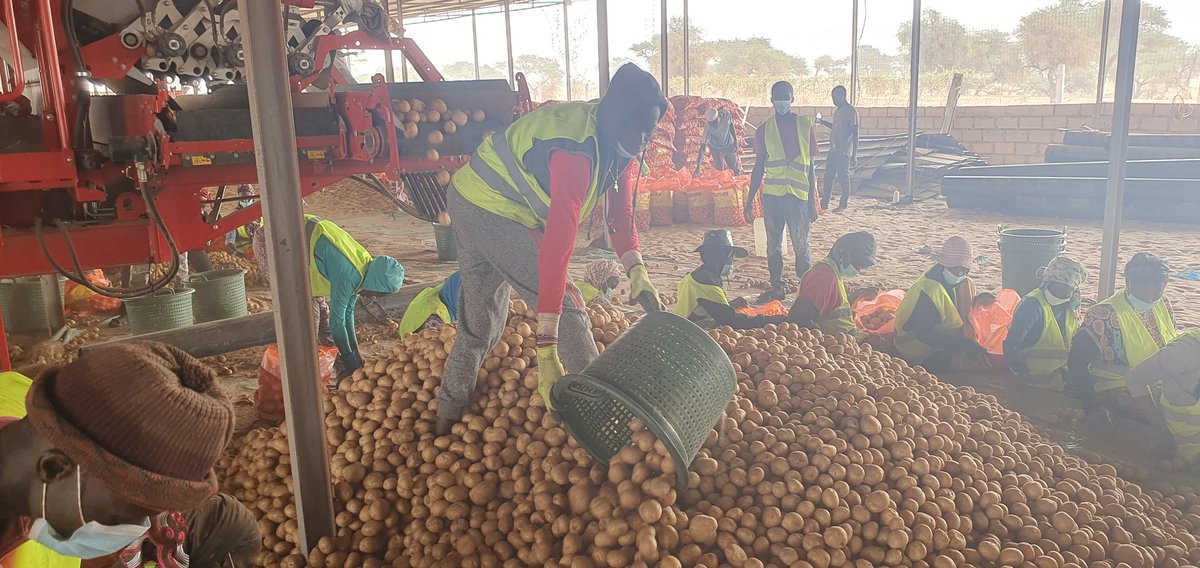 Olaf van Campen tweet media