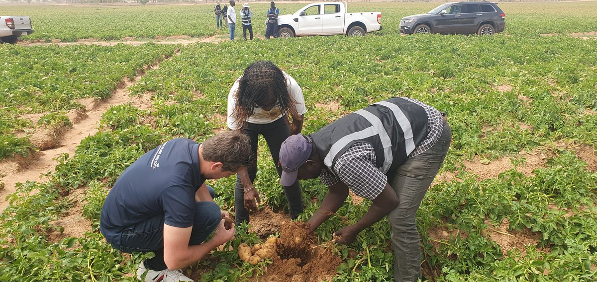 Olaf van Campen tweet media