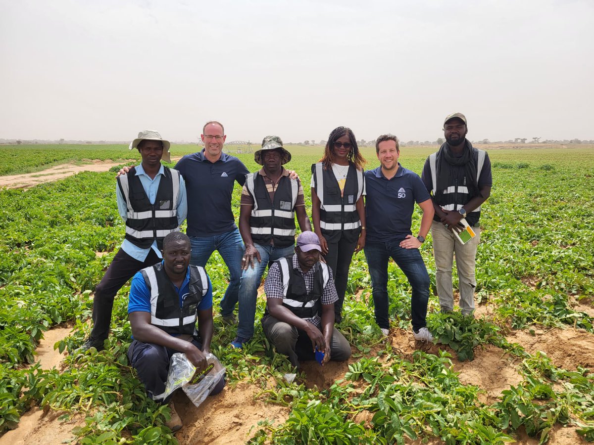 Olaf van Campen tweet media