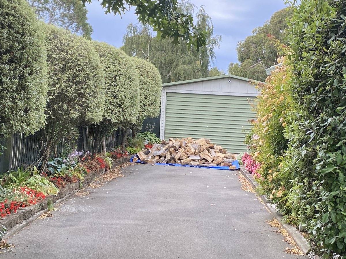 Spent the day chopping up trees for firewood for MIL and look what we found when we pulled up to her drive. That's stacked in the woodshed now &amp; we will be back soon to stack the load we cut. She will have more than enough for winter now.
