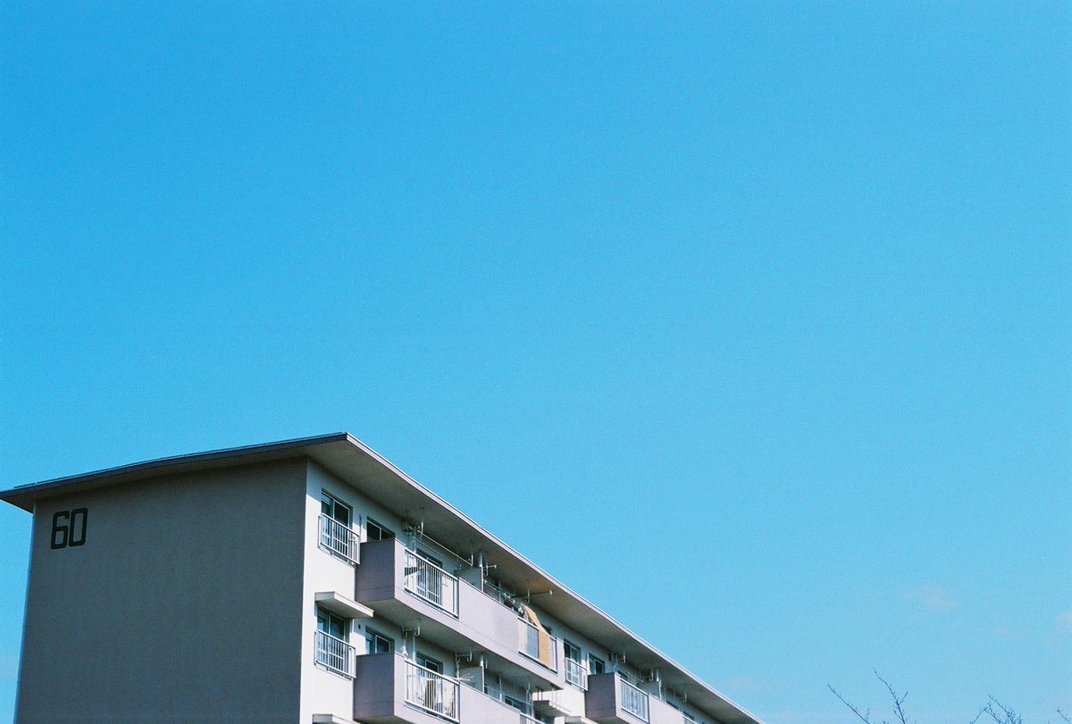 70Ki_cub's tweet photo. 撮り溜まってたフィルムを現像してきました📷 https://t.co/My3s9BLvwp