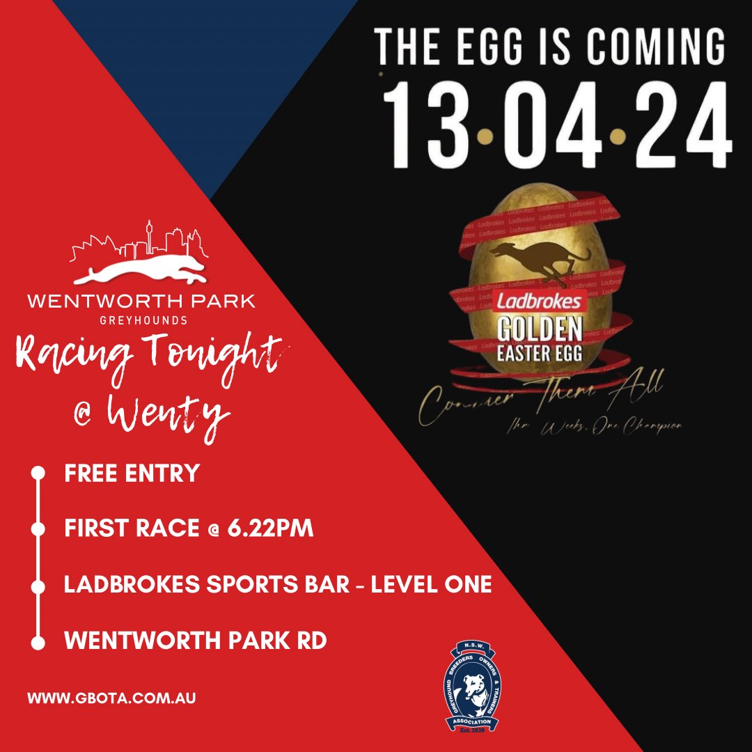 🐾 Racing Tonight! 

📍 Wentworth Park Rd, Glebe! 

🆓 Free Entry - First Race @ 6.22pm

#sydney #whatsonsydney #greyhoundracing