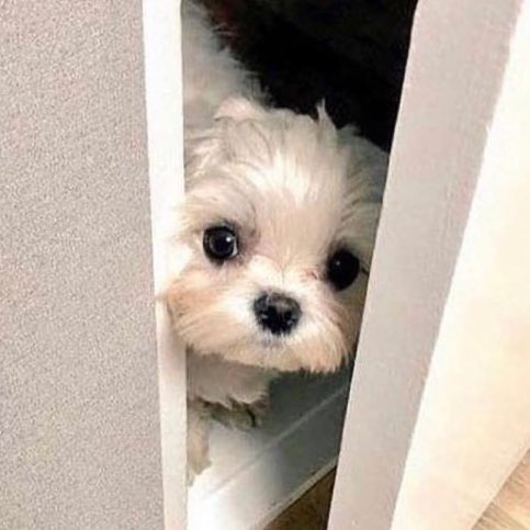 700 (@winter700_) on Twitter photo 