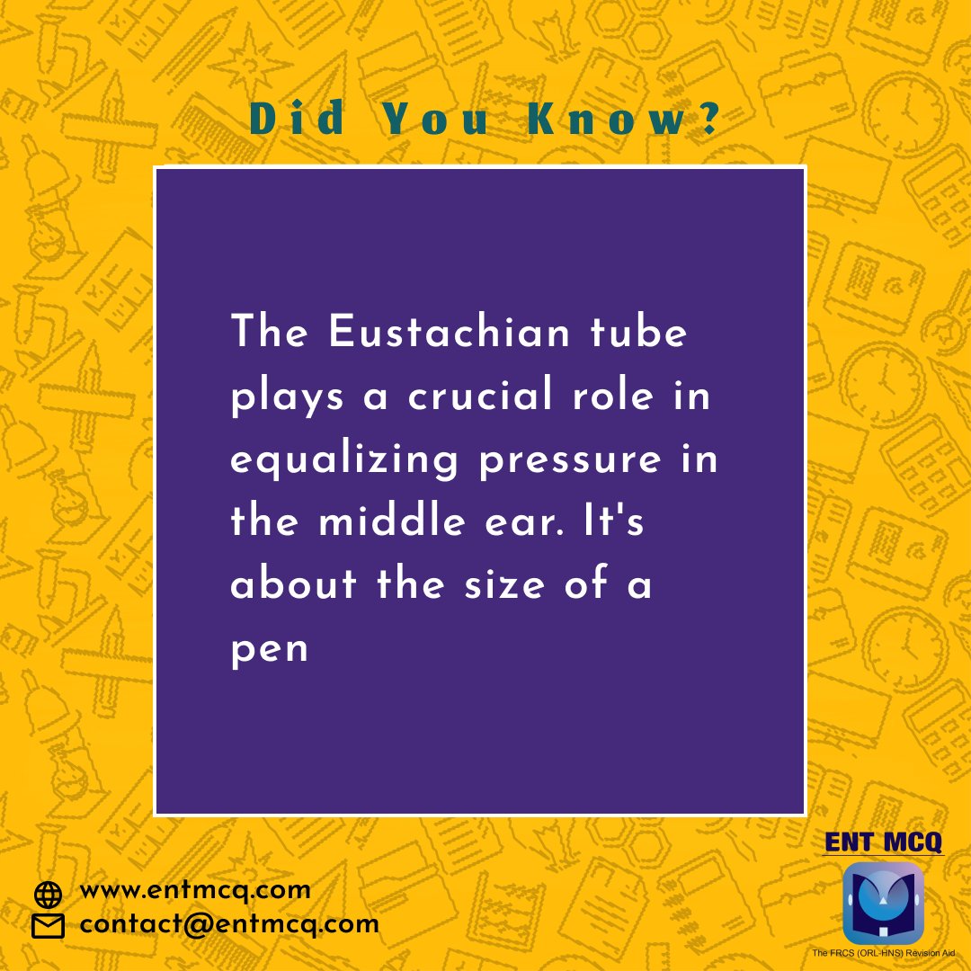 Did You Know?

𝐅𝐨𝐫 𝐀𝐝𝐢𝐭𝐢𝐨𝐧𝐚𝐥 facts 𝐂𝐨𝐧𝐭𝐚𝐜𝐭 𝐮𝐬 𝐨𝐧 support@entmcq.com and visit us on entmcq.com

#FRCSORLHNS #OtoPrep #ENTExam #ENTResidents #MedEd #Otolaryngology #passthefrcs #frcsent #medicine #doctor #surgery #medical #rhinoplasty #otorrino