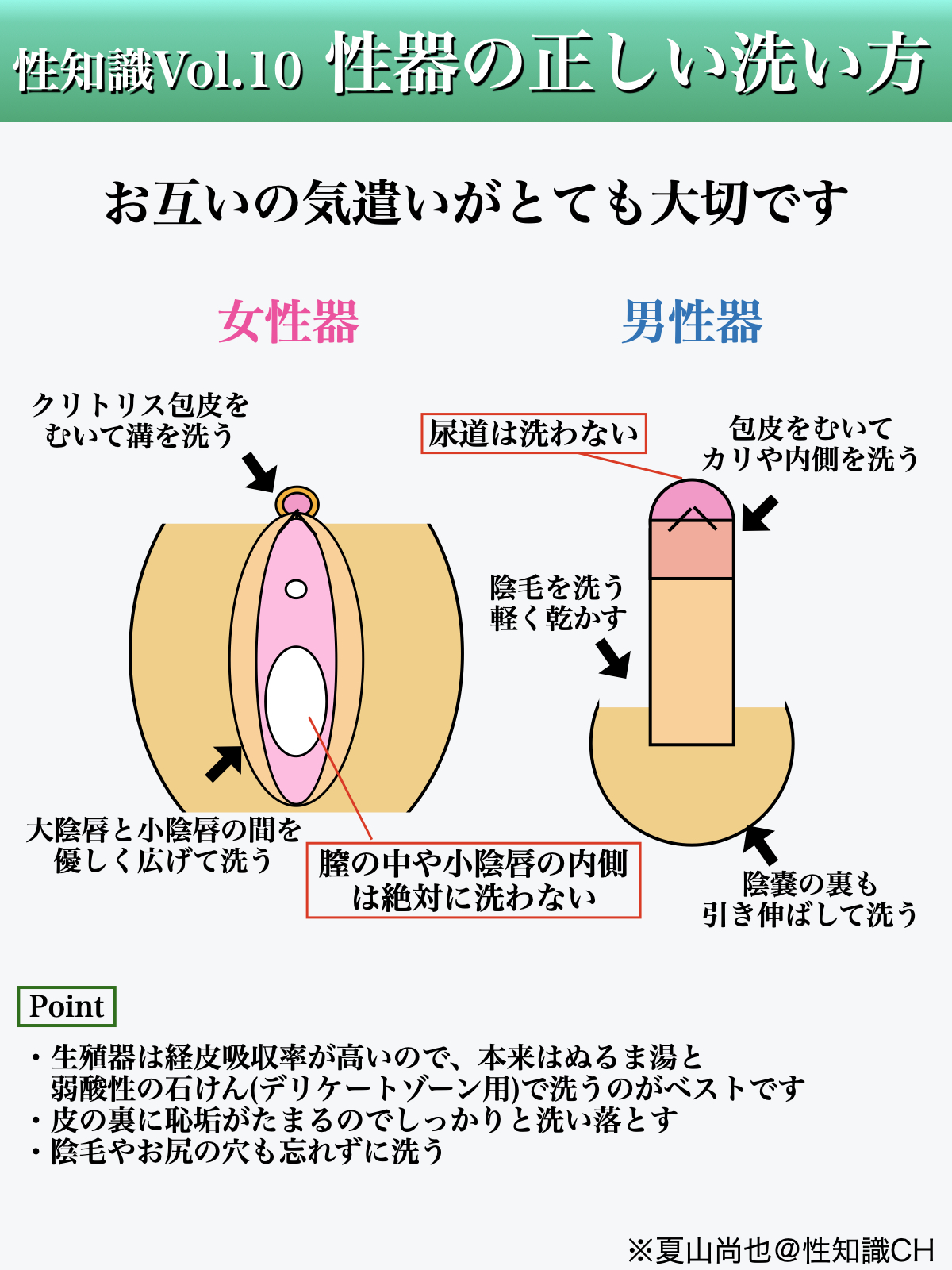 女の子がお尻の穴、洗ってる画像 【性器の正しい洗い方】 まずは性器の前に洗う場所があります。 ・お尻の穴（女性は膣側からお尻側に向けて）  ・陰毛（最後にタオルドライをする） です。 次に性器を洗います。 女性器 ①クリトリス包皮をむいて溝を洗う ②大陰唇と小陰唇の間 ...