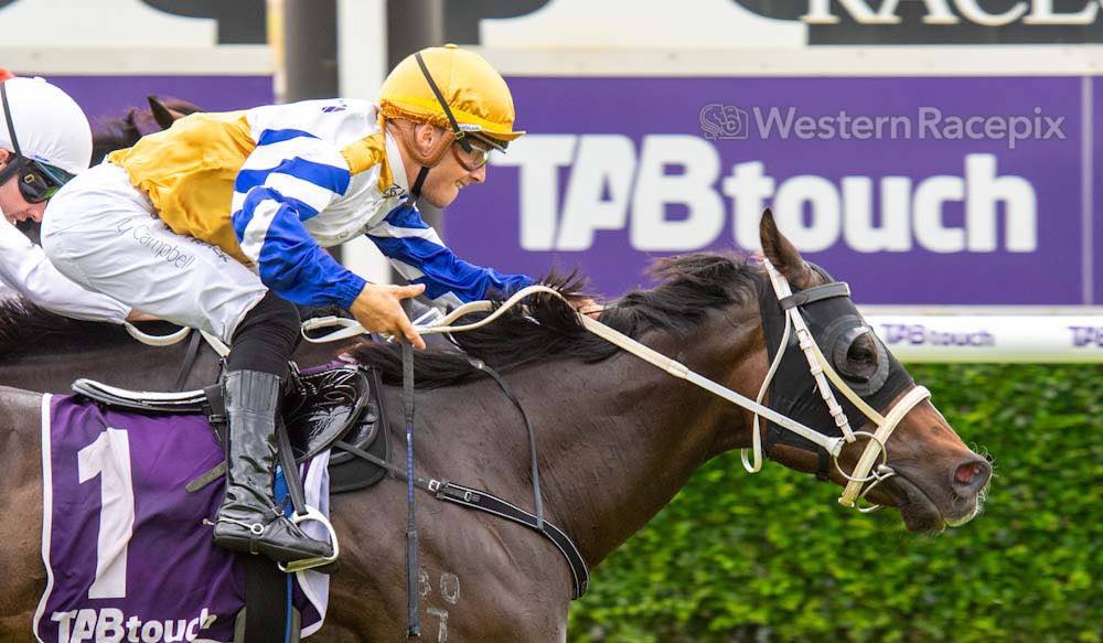 HALATORION - Ascot Sat 24th February @PerthRacing #WesternRacepix #GiddyUpAscot More 📷 westernracepix.com